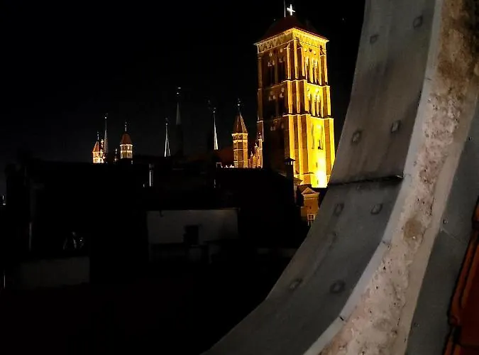 Toproof Kozia Danzica